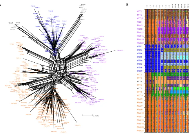 Figure 1.  (A)  Neighbor-Net  split  decomposition  network  indicating  the  relationships  between  rice  accessions  based  on  12,112  analyzed  SNPs