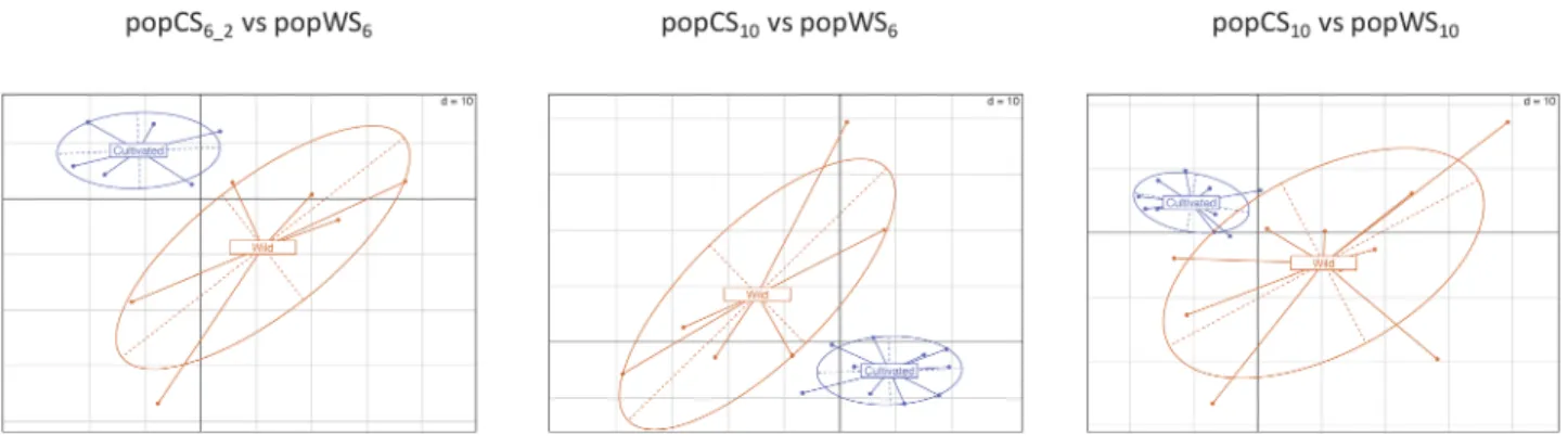 Fig 3. Cultivated and wild type sorghum sample 2D projection using a PCA of their e T -ratios