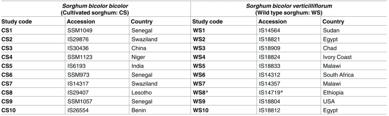 Table 1. Accession names and origins of sequenced sorghum accessions.