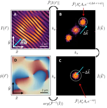 FIG. S7. Retrieving the wavefront phase: (A)-Typical inteferrence pattern for the | − 2, σ + i mode (from Fig.3-G in the main text), produced by interfering the emission and reference arm with an in-plane wavevector difference ∆k