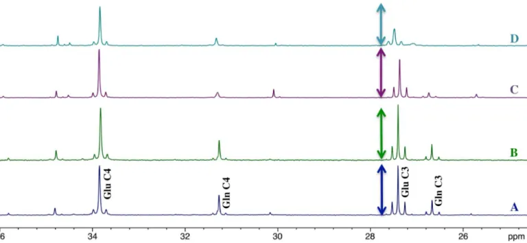 Fig 4. Ex vivo 13 C-NMR spectra (25–36 ppm) of the pooled S1BF areas at rest (A and C) or activated (B and D) of 8 control rats (A and B) and 8 MCT2 rats (C and D)