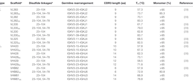 Table 1 | Properties of human V H  and V L  single-domain antibody scaffolds used in this study.