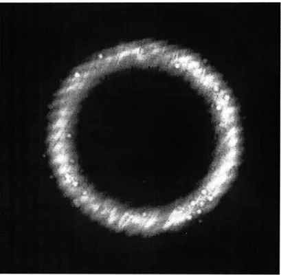 Figure  2-4:  Measured  spatial  distribution  of  output  idler  photons  (Ai  =  810.050  + 0.5nm)  at a temperature  Tcrystal =  120C,  with 5 mW of 404.775-nm  pump laser