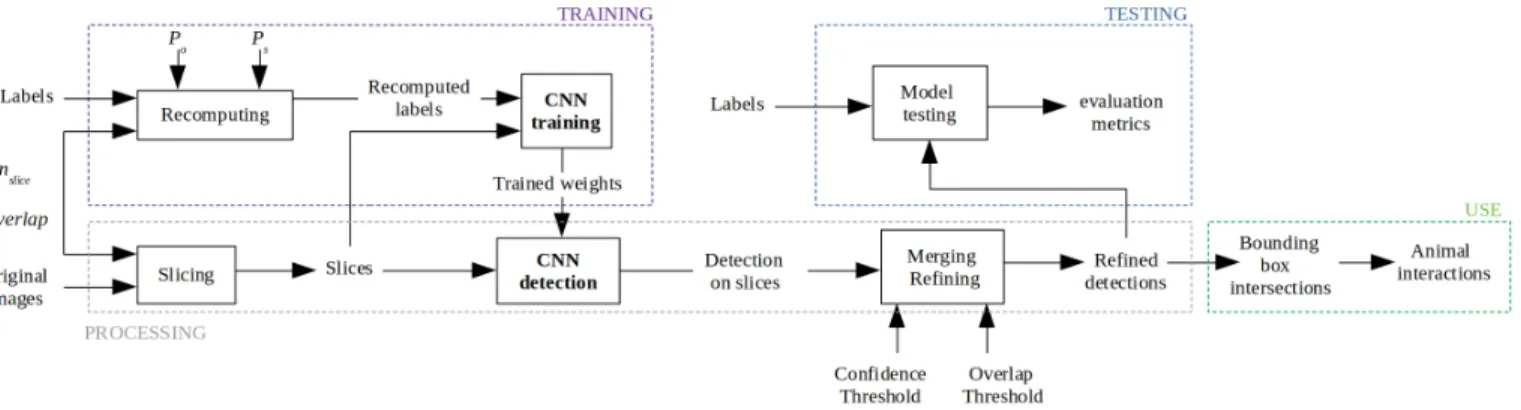 Fig. 1. Overview of the proposed method.