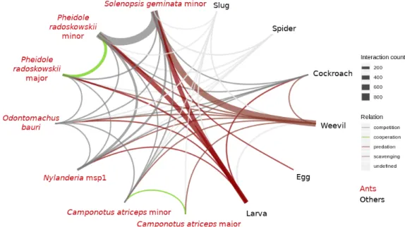 Fig. 7. Interaction network based on recorded interactions.