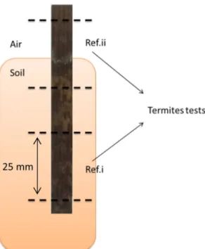 Fig. 3 Heat treated wood degraded by soil-inhabiting micro-organ- micro-organ-isms sampling to test against termite attacks