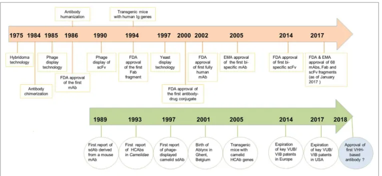 FIGURE 1 | Chronological timeline of major scientiic developments in the ield of antibody engineering since the discovery of monoclonal antibodies (mAbs) in 1975  leading to the regulatory approval of mAbs, antigen-binding fragments (Fabs) and scFvs as the