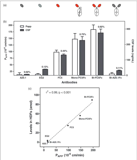 Figure 6. In vitro and in vivo BBB crossing of examined antibodies. (a) Structural representation of tested antibodies