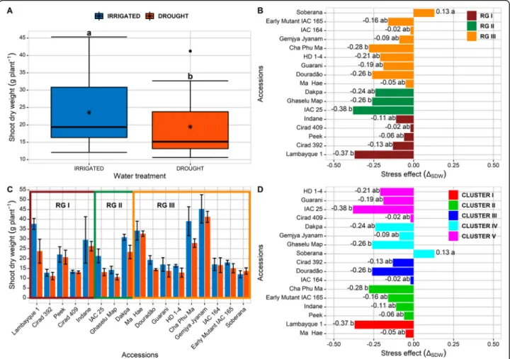 Fig. 4 Shoot dry weight (SDW) of 17 accessions under two water conditions. (A) Box-plots showing the SDW under irrigated and drought conditions, (B) Shoot drought response ( Δ SDW ) for each accession according to its membership to one response group, (C) 