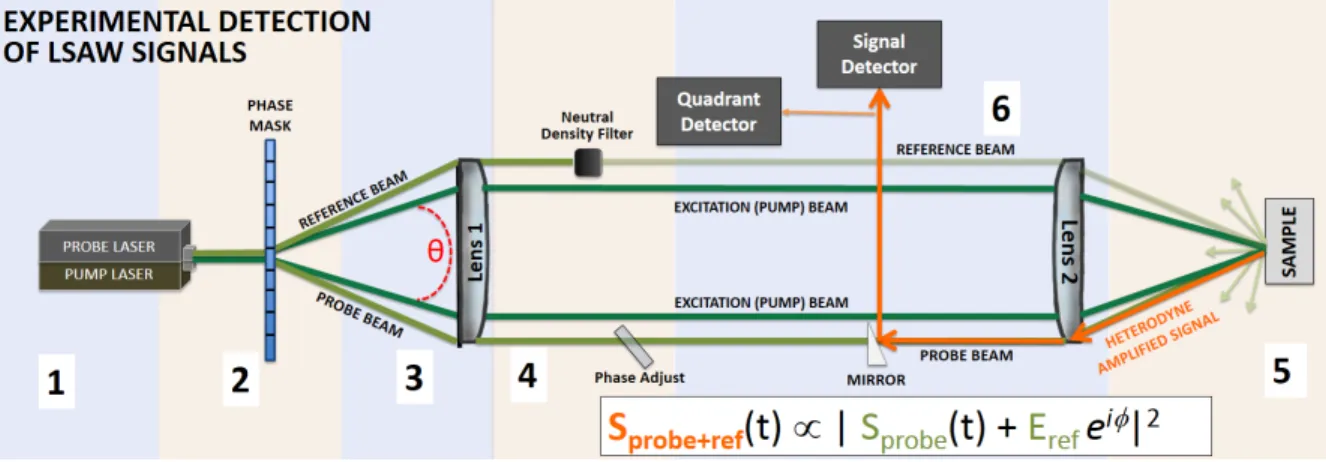 Figure 1: Diagram of the LSAW facility used in this study, adapted from [39]