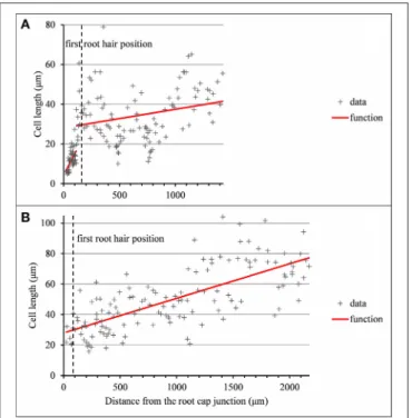 FIGURE 6 | Outputs of the selected piecewise linear model in the case of 2-zone −elongation zone (EZ) and mature zone (MZ)− individual and a single-zone −mature zone only− individual corresponding to arrested or almost arrested roots