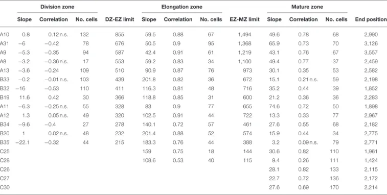 TABLE 4 | Piecewise linear functions selected for wild-type lateral roots.