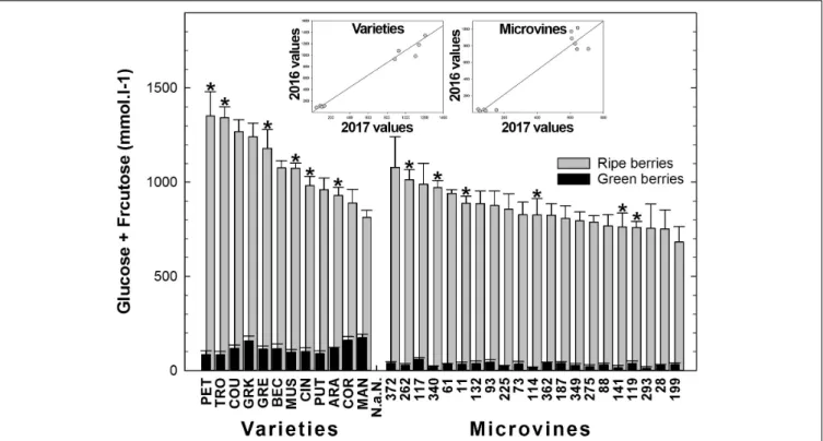 FIGURE 7 | Diversity in the sum of glucose and fructose concentrations in fruit at the end of green growth and at ripe stage in varieties and microvine subsets