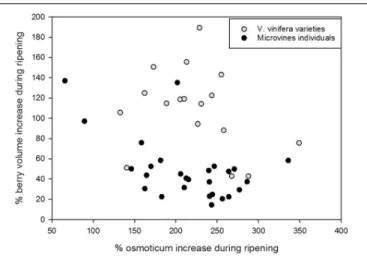 FIGURE 9 | Major osmoticum concentration and fruit volume changes during ripening in varieties (grey dots) and microvine (black dots) subsets