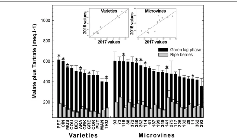 FIGURE 5 | Diversity for the sum of malic and tartaric acid fruit concentrations at the end of green growth and at ripe stage in varieties and microvine subsets