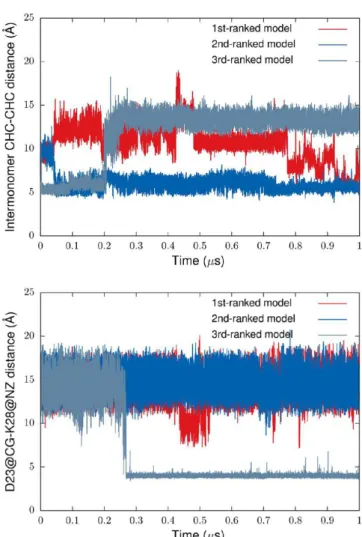 Figure 12. Inter-residue distance map for the ﬁ rst-ranked dimer model with the interpeptide CHC−CHC interface