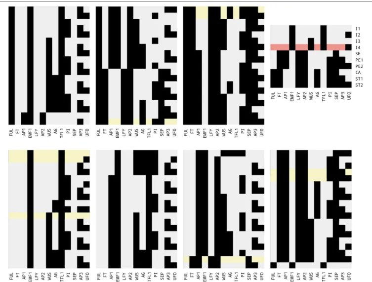 FIGURE 4 | A sample of 133 fixed-point attractors that are compatible with the interaction graph of Figure 3A