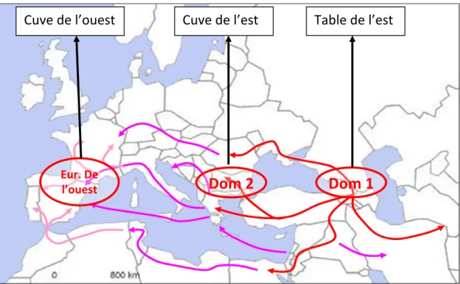 Figure 1. : Diffusion de la viticulture et de la vigne cultivée (d’après Labra et al. (2002))