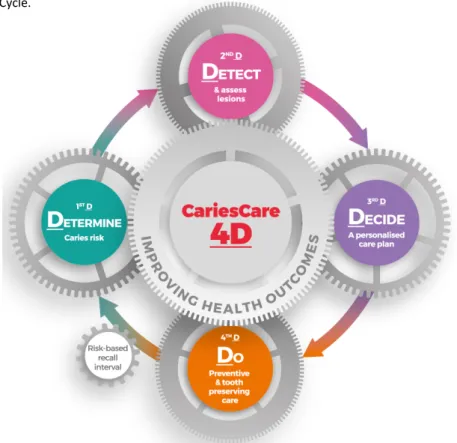 Figure 1. CariesCare 4D Cycle. 