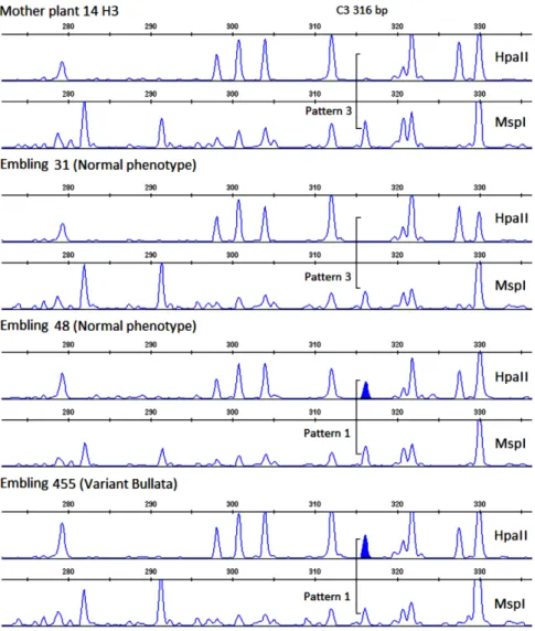 Table 4. MSAP patterns corresponding to different methylation states of the symmetric sequence CCGG, as revealed by the specificity of the restriction enzymes Hpa II and Msp I.