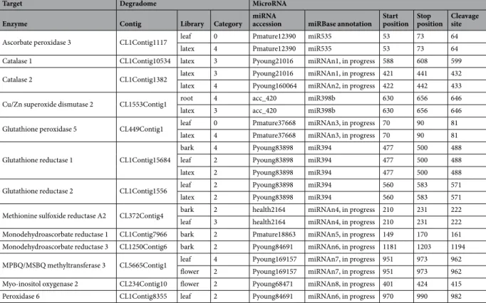 Table 3.  Degradome data analysis with CLEAVELAND pipeline using 161 ROS-related genes, 6 tissue-specific  transcriptomes and newly annotated microRNAs.