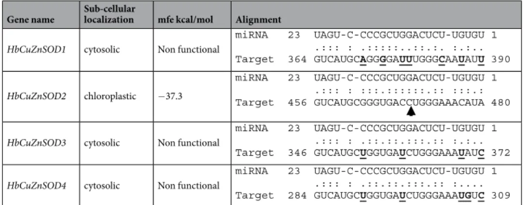 Table 4.  Comparison of HbmiR398 (acc_420) cleavage site between cytosolic and chloroplastic CuZnSOD  isoforms