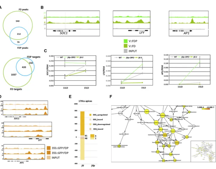 Figure 6. Characterization of FD and FDP Target Genes