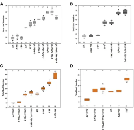 Figure 3. FT Promotes Flowering Independently of FD and FDP
