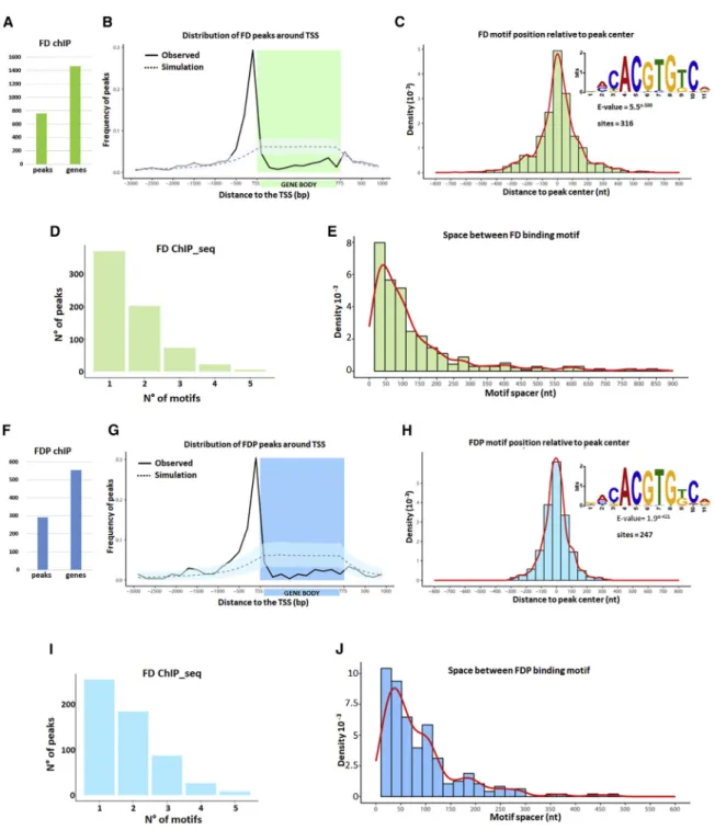 Figure 5. Genome-wide Target Sites of FD and FDP