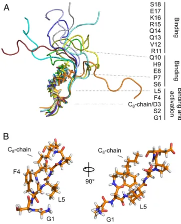 Fig. 4. Map of the area of interaction of ghrelin with its receptor. STD am- am-plification factors of ghrelin bound to GHSR, with A STD = (I 0 − I sat )/I 0 × [ghrelin]/