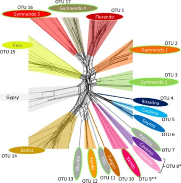 Figure 1.  Augmented diversity of the Caulimoviridae. Core of asequence similarity network constructed  using an alignment of amino acid reverse transcriptase (RT) sequences from reference genera, representative  endogenous caulimovirids and Ty3/Gypsy LTR 