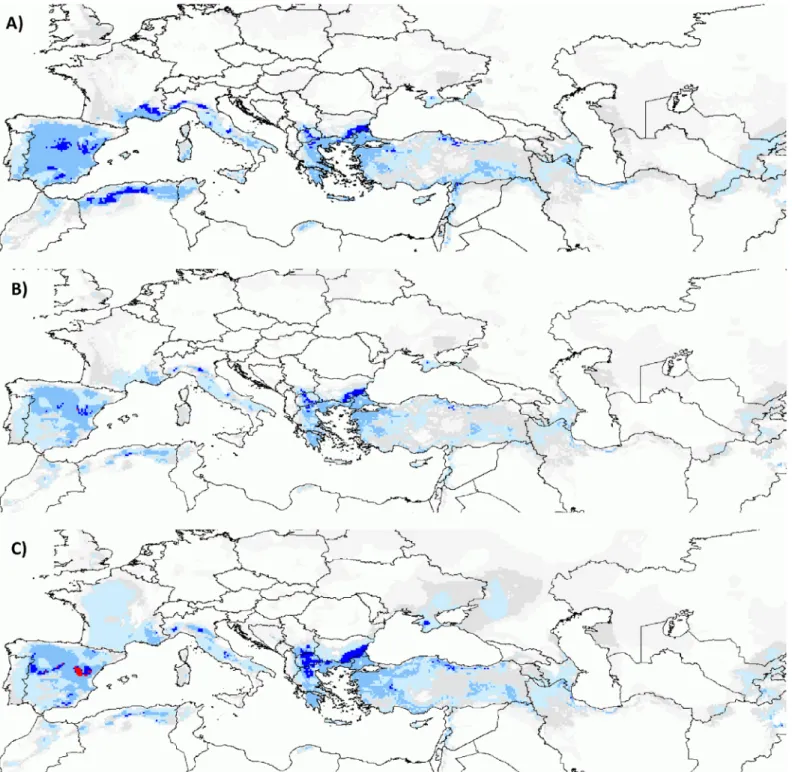 Fig 1. Potential species richness: RCP 4.5 . Predicted richness for (A) the current climate, (B) RCP 4.5 under the no migration hypothesis and (C) RCP 4.5 under the universal migration hypothesis