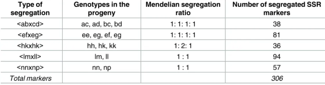 Table 5. Number of SSR markers segregating in the F1 progeny of the PB260 x RRIM600 family, for each segregation type.