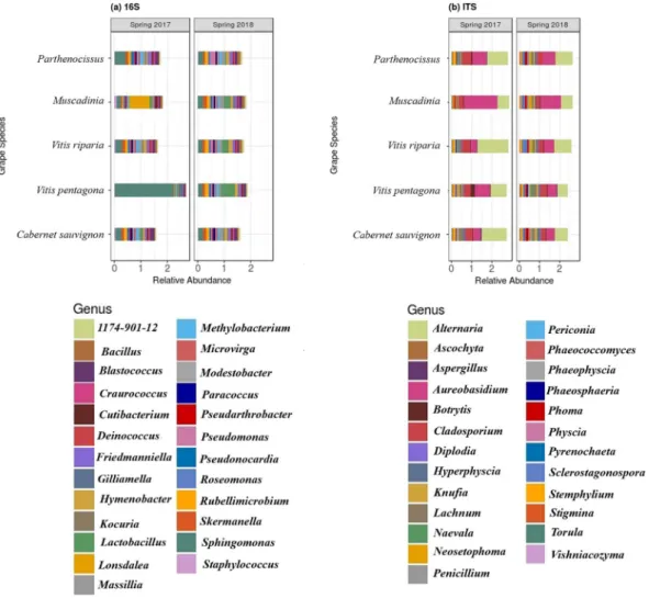 Figure 2.  PCoA ordinations of (a) bacterial and (b) fungal communities derived from leaf phyllosphere at  two growing years, using Bray-Curtis distance matrix