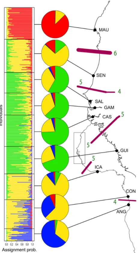 Figure  2.    Genetic  differentiation  in  Bonga  shad  along  West  African  shoreline  recovered  with  7  EPIC  loci