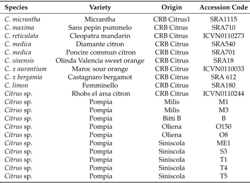 Table 2. List of accessions used in this study. The classification names are according to Swingle and Reece [36]