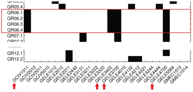 Figure 5: Slice of the Q-matrix (transposed) showing that the four skills for attribute QR06 are always evaluated together in items GCIV1011, GELE3422, GELE3700 and GELE4700.