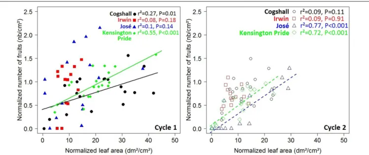 FIGURE 6 | V→R2 relationships at the scaffold branch scale. Relationships between the leaf area produced during a cycle and the number of fruits produced during this cycle at the scaffold branch scale for four mango cultivars, Cogshall, Irwin, José, and Ke