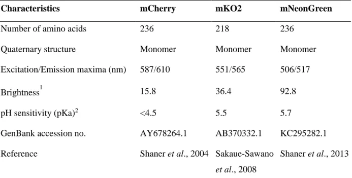 Table 2: Characteristics of selected fluorescent proteins  