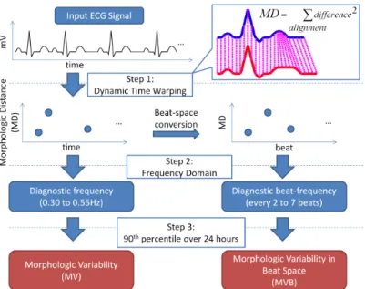 Figure 3-2: Overview of Morphologic Variability (MV) and MV in Beat-space (MVB) computation.