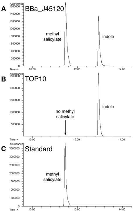 Figure 2-3: To confirm that the wintergreen odorant generator produced methyl sali- sali-cylate, cultures with the device supplemented with 2 mM salicylic acid were analyzed by gas chromatography