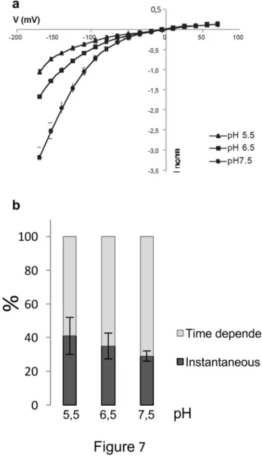 Fig. 7: The grapevine channel VvK3.1 is strongly regulated by pH  