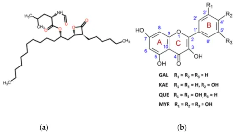 Figure 1. Chemical structures of (a) orlistat (tetrahydrolipstatin; THL) and (b) investigated flavonols  in this study: GAL, galangin; KAE, kaempferol; QUE, quercetin; MYR, myricetin