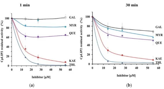 Figure 2. Inhibition of CpLIP2 hydrolytic activity by THL (positive control), and four flavonols (GAL,  KAE, QUE, MYR) tested at various concentrations (14, 27.5, 55 µM equal to 25, 50, 100-fold the final  concentration of CpLIP2 lipase at 0.55 µM, respect