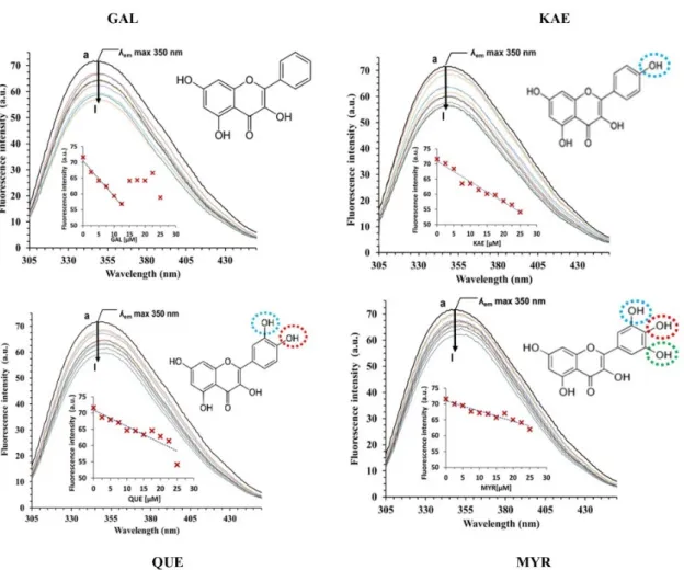 Figure 3. Fluorescence emission spectra of CpLIP2 lipase alone or with increasing concentrations of  single flavonols (coloured lignes)