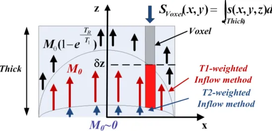 Fig 1. Illustration of the inflow effect. Spins staying within the slice between applications of RF pulses (in black) will not have attained Boltzmann equilibrium (whose magnetization is M 0 ð1 e TRT1 Þ); spins entering into the slice (in red) which have n