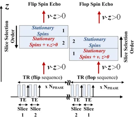Fig 2. Spin Echo Multi Slice (SEMS) sequence. The upper part of the figure illustrates the inflow measurement depending on the slice location and the slices selection order