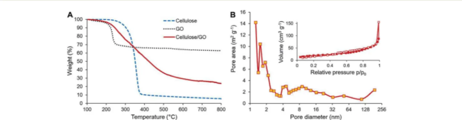 Fig. 3 (A) TGA of cellulose and cellulose/GO. (B) Nitrogen adsorption/desorption isotherms (inset) and pore size distribution (main image) of CNF/rGO.