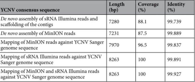 Table 3.  Coverage and identity of consensus mapped and de novo assembled genome sequences of yam  chlorotic necrosis virus (YCNV) generated from Illumina and MinION reads.