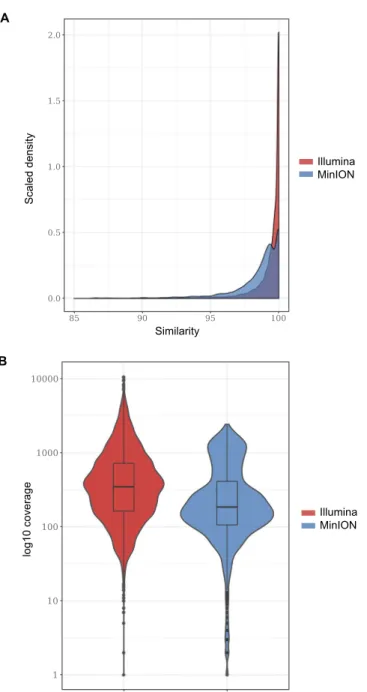 Figure 3. (A) Densities of the similarity values of the Illumina and MinION reads that were mapped to the  reference YCNV genome